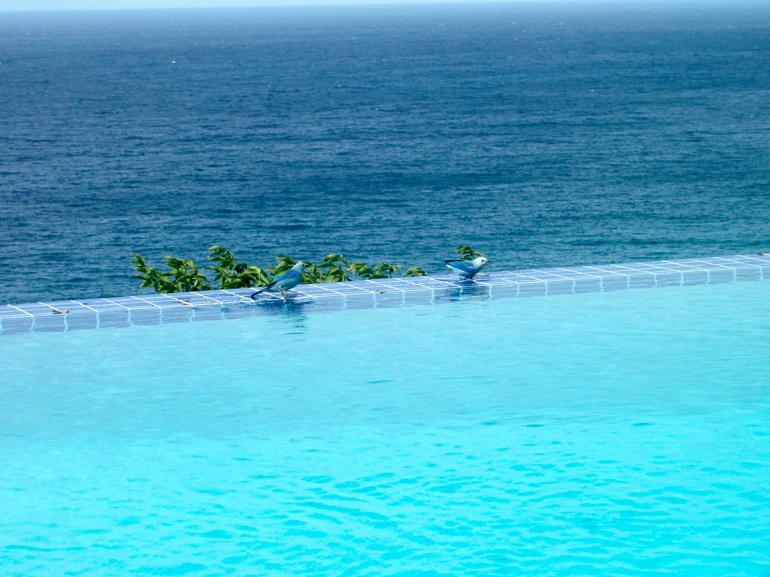 Being Villa Plymouth Εξωτερικό φωτογραφία